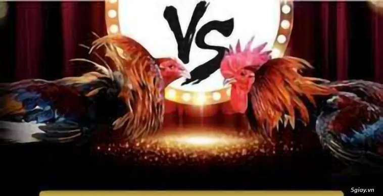 Cách Chơi Đá Gà GA28 Miso88 Đỉnh Cao Với Trận Đấu Kịch Tính 2025 2 Cách Chơi Đá Gà GA28 Miso88 Đỉnh Cao Với Trận Đấu Kịch Tính 2025