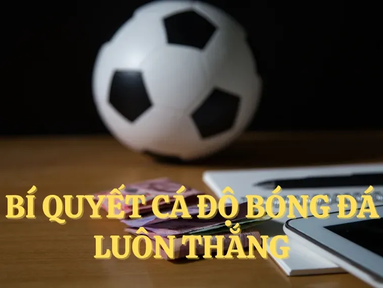 Thắp Lửa Đam Mê: Bí Mật Thành Công Cá Cược Bóng Đá Miso88 1 Thắp Lửa Đam Mê: Bí Mật Thành Công Cá Cược Bóng Đá Miso88