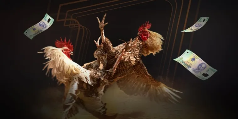 Cách Chơi Đá Gà Sabong Miso88 Kịch Tính Với Tỷ Lệ Thưởng Cao 2025 2 Cách Chơi Đá Gà Sabong Miso88 Kịch Tính Với Tỷ Lệ Thưởng Cao 2025