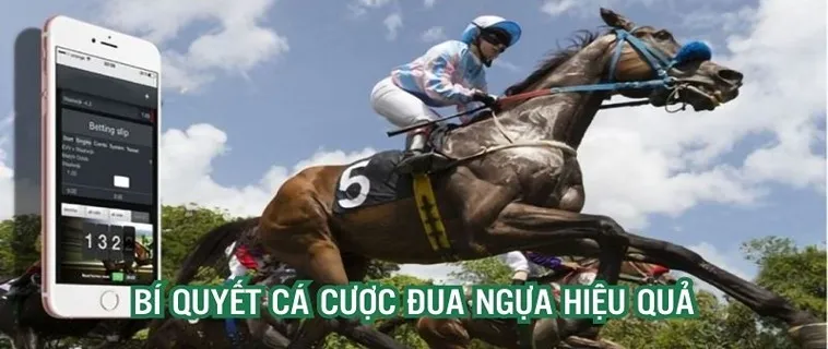 Tìm Hiểu Cá Cược Đua Ngựa Miso88: Hành Trình Thắng Lớn 1 Tìm Hiểu Cá Cược Đua Ngựa Miso88: Hành Trình Thắng Lớn